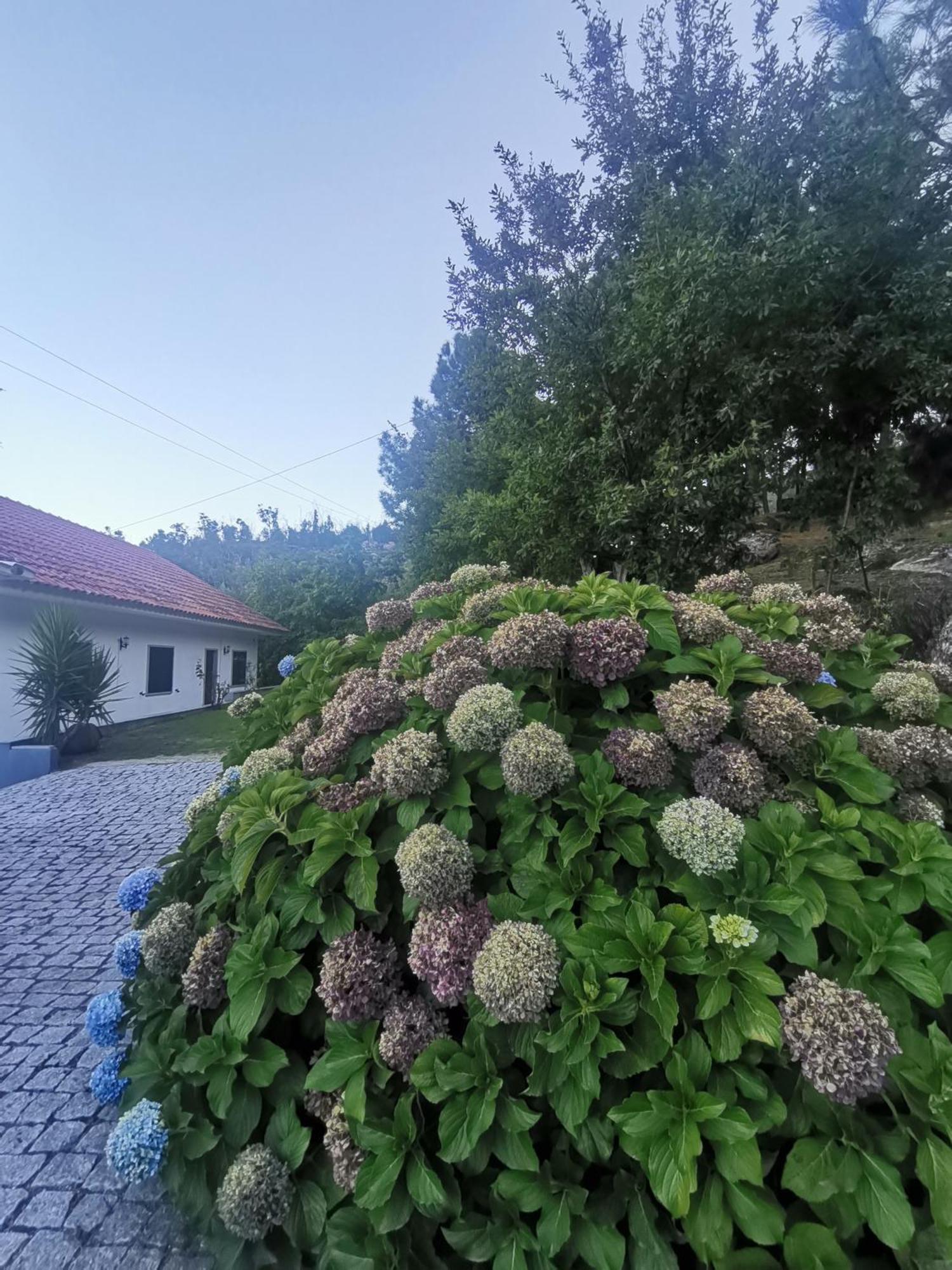 Quinta Souto Da Ordem - House Villa Castelo Novo Екстериор снимка